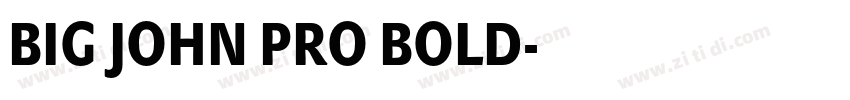 BIG JOHN PRO BOLD字体转换